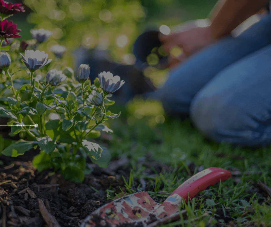 Top 3 Ways to Prepare Your Home for a Bright & Beautiful Summer!